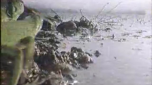 video noise reduction original 1 смотреть онлайн