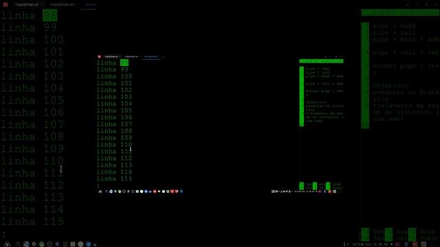 Dicas no Terminal Linux: tail, head, awk e for смотреть онлайн