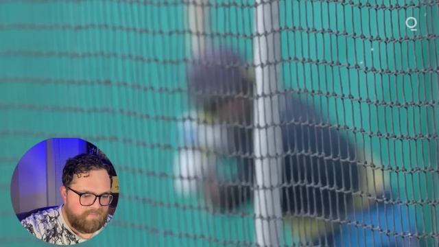 How INDIA Made Cricket a BILLION Dollar Industry! American Reacts смотреть онлайн