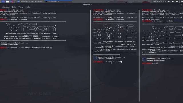 #SEO : Analyse de #ndd avec l'outil #wpscan sur la distribution #KaliLinux смотреть онлайн