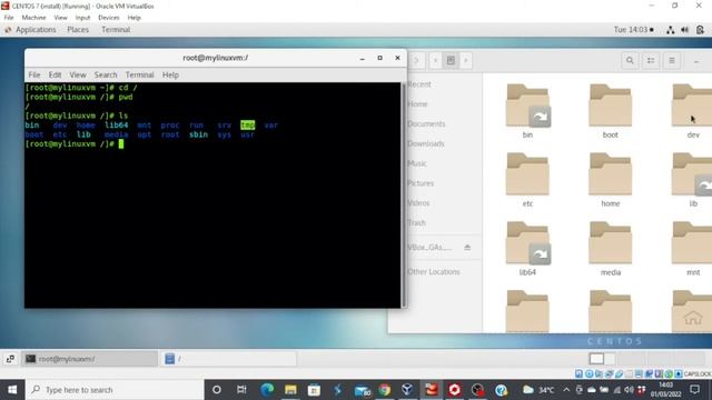 HOW TO NAVIGATE THE LINUX FILE SYSTEM смотреть онлайн