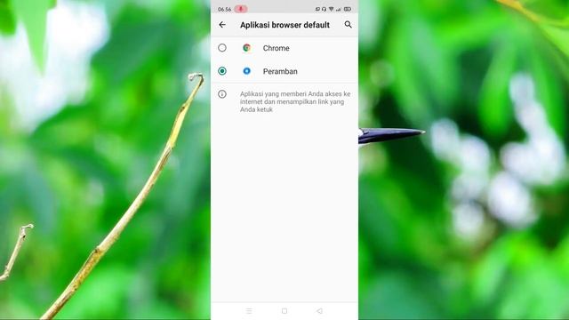 Cara Jadikan Google Chrome Sebagai Default Browser di HP Android смотреть онлайн