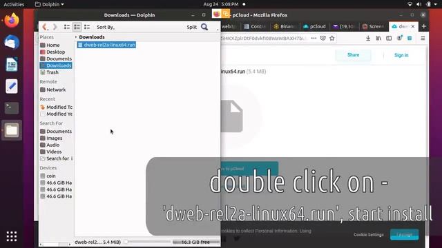 User program installing on Linux Ubuntu 20 04 смотреть онлайн