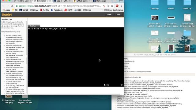 Labsim Linux 0 1 4 смотреть онлайн