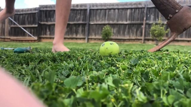 Torturing the famous apple смотреть онлайн