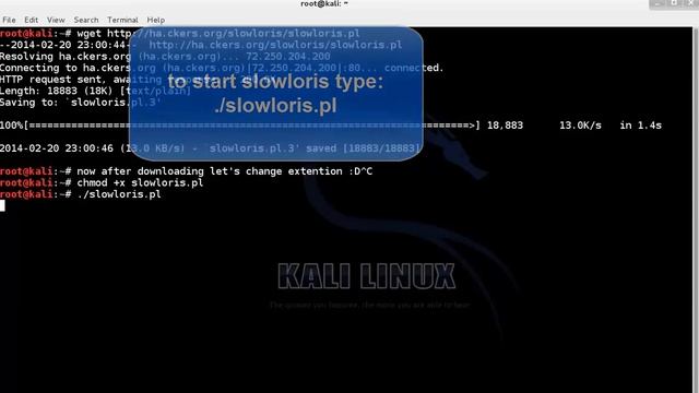 DDos Attack on kali linux 2.0 :D смотреть онлайн