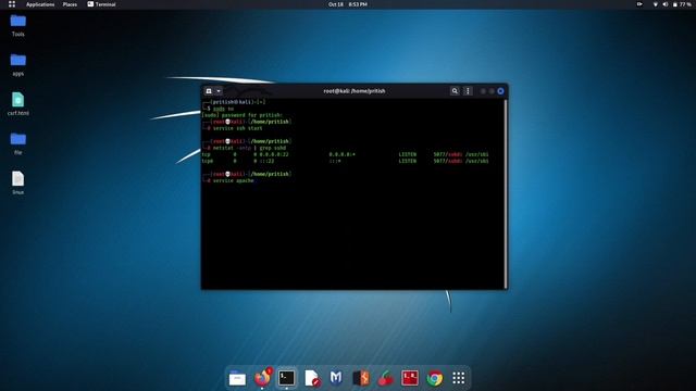 Linux command tutorial : How to start different services like SSH, HTTP, FTP смотреть онлайн