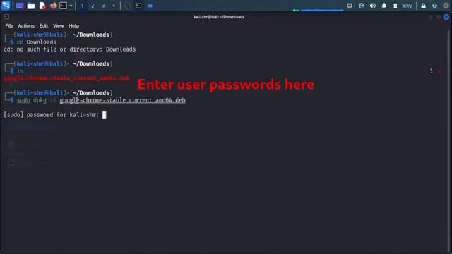 How to Install Google Chrome on Kali Linux [Step-by-Step Guide] смотреть онлайн