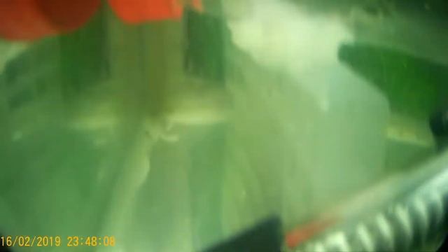 родильня для гуппи своими руками смотреть онлайн