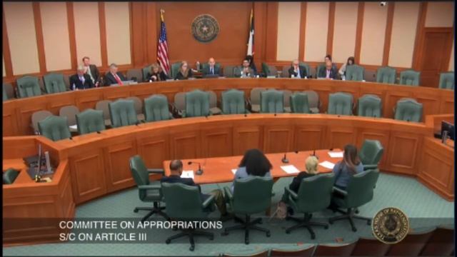 House Committee on Appropriations S/C on Article III - Fedora Galasso - February 18, 2019 смотреть онлайн