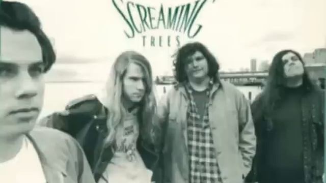 Screaming Trees - Polly Pereguin смотреть онлайн