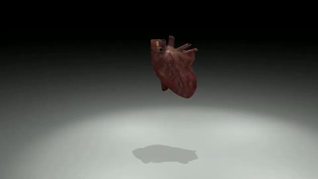 Model viewer Demo (download) смотреть онлайн