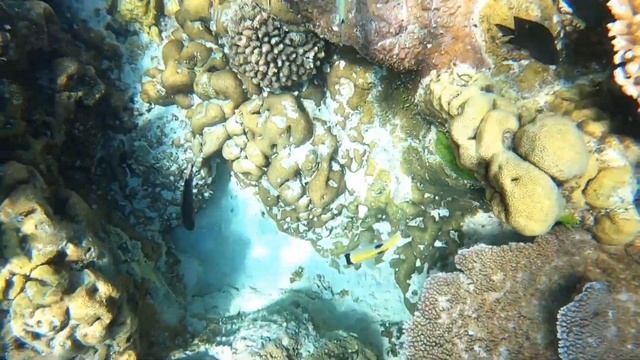 Pango cove, Port Vila смотреть онлайн