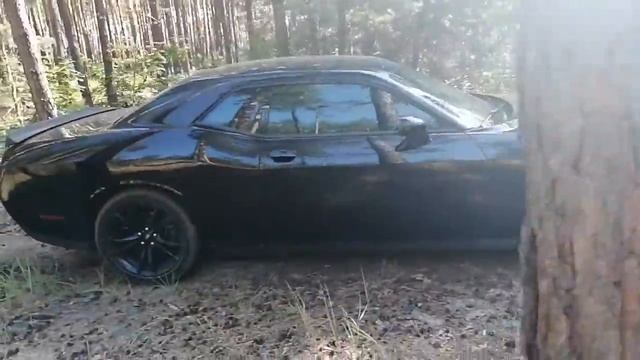 Dodge Challenger 2017 смотреть онлайн