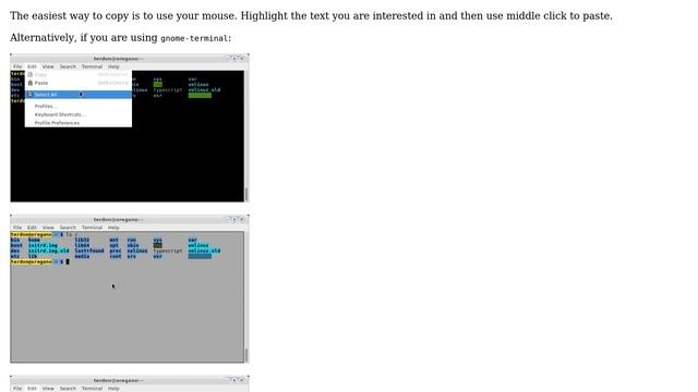 How to select text in terminal? (linux mint)? смотреть онлайн
