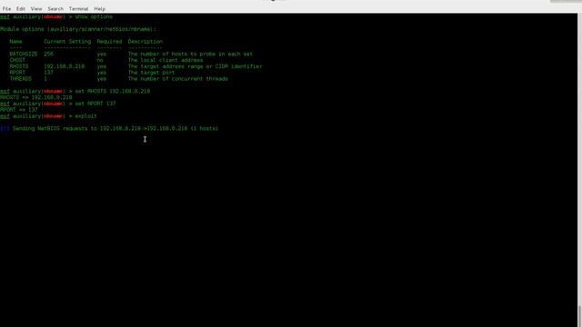 Kali Linux Get info from netbios смотреть онлайн