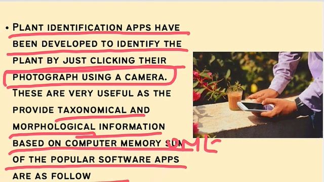 Plant Identification Apps of Plants BSc 2nd Year || Computer Usage & Android Application Class:-1 смотреть онлайн