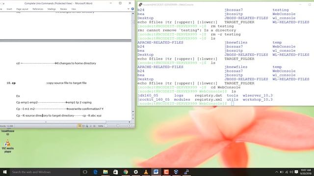 Basic Unix Command Practice смотреть онлайн