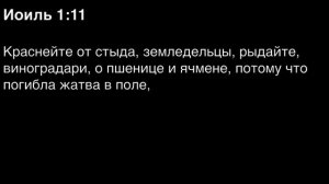 День 244. Библия за год. С митрополитом Иларионом.