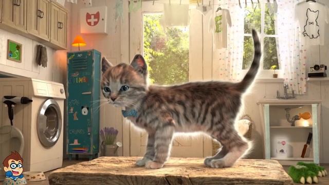 My Favorite Cat Little Kitten Fun Pet Care - Little Kitten Adventures - Play Costume Dress-Up Party смотреть онлайн