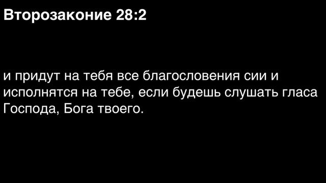 День 53. Библия за год. С митрополитом Иларионом. смотреть онлайн