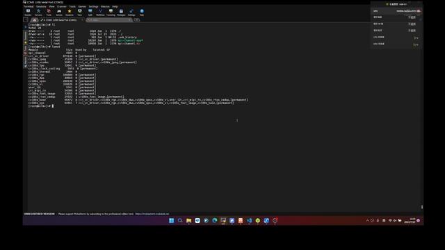 [RISC-V]Milk-V开发板 linux spi驱动展示 смотреть онлайн