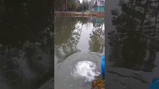 запуск на путевки смотреть онлайн
