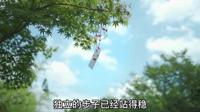 经典散文欣赏《坏婚姻是所好学校》看张幼仪是怎样活成自己的 смотреть онлайн