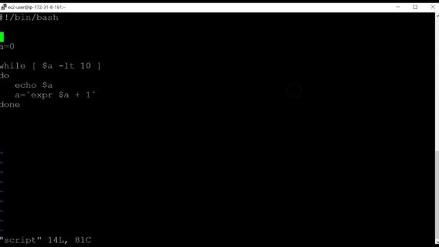 Linux - Shell Scripting 'While Loop' смотреть онлайн