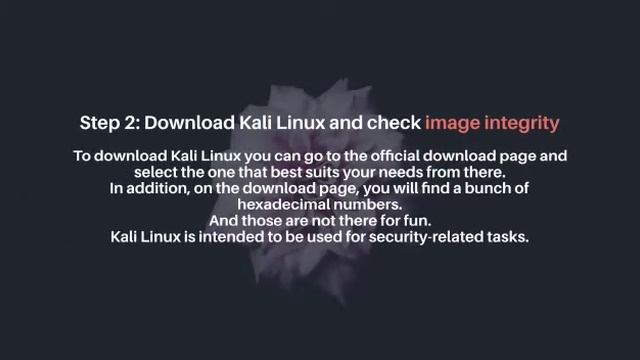 How install kali Linux step by step and hardware Requirements for installation смотреть онлайн