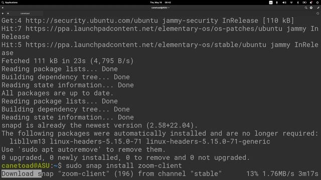Install Zoom on Linux смотреть онлайн