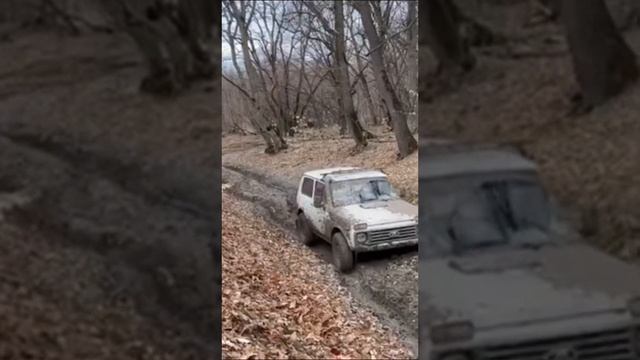 Что выбрать? Конечно нива смотреть онлайн