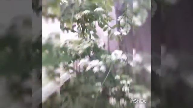 Заброшенное за гаражами и лабиринт страшно пипец.... смотреть онлайн
