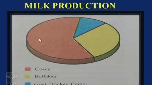 SIET | VIII Class - Bio Science - Production Of Food From Animals (Part - 01) (E/M) | T-SAT смотреть онлайн