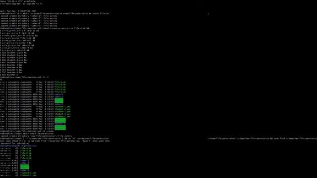 Linux (File Permission and Operation Controller) смотреть онлайн