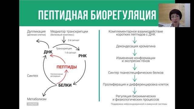 Запись вебинара, 9 ноября 2017 г. смотреть онлайн