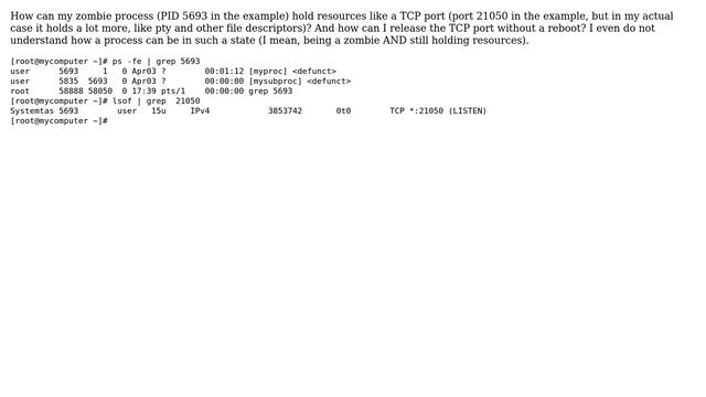 How can a zombie process hold system resources like a TCP port? смотреть онлайн