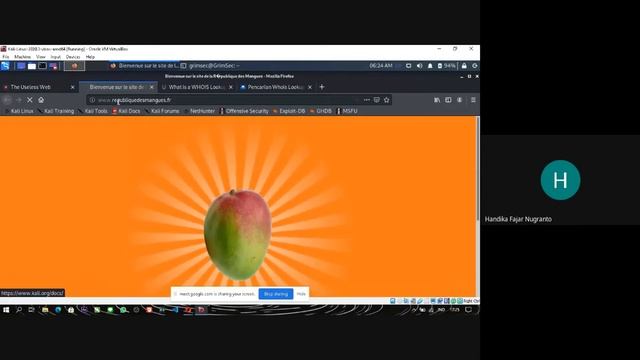 Metode Footprinting and Reconnaissance Menggunakan Tools Whois Lookup смотреть онлайн