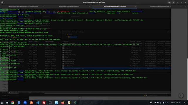 How to Backup Data, Folder, Database Manual Maintenance in Nextcloud on Server GNU/Linux смотреть онлайн