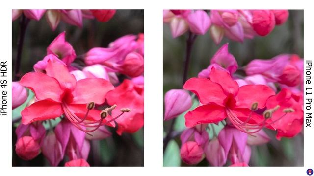 iPhone 11 Pro Max vs iPhone 4S Camera Comparison - Amazing Results! смотреть онлайн