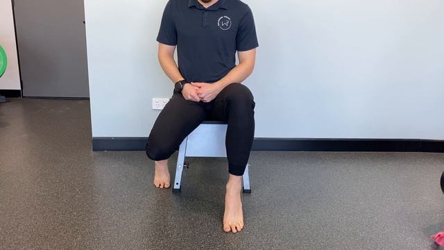 Seated Calf Raise смотреть онлайн