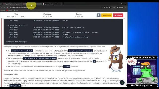 TryHackMe's Advent of Cyber - Day 19 - Linux Memory Forensics смотреть онлайн