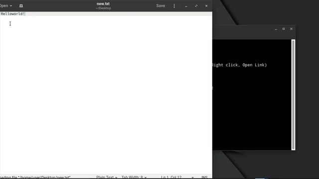 save text from terminal using echo and cat command in Linux terminal. смотреть онлайн