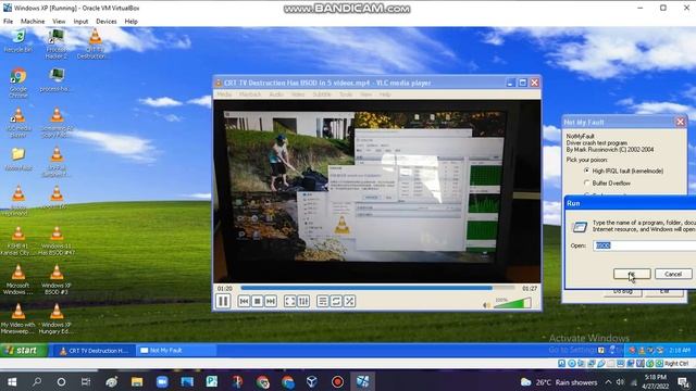 Pro RTM baoP211 has BSOD VM (Windows XP) смотреть онлайн