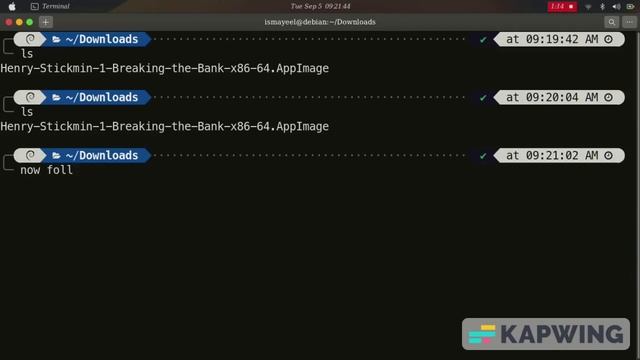 how to execute an Appimage file (Linux not Mac) смотреть онлайн