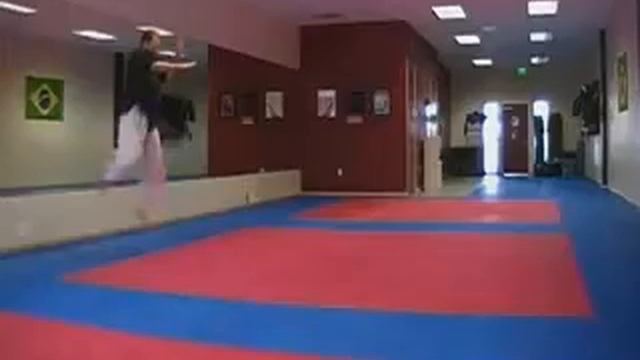 Shaolin Kempo 4th degree snake fist form-the real deal.wmv смотреть онлайн