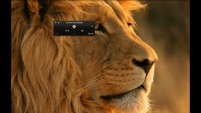 HOW TO: Use Screen Recorder on Mac OS ? смотреть онлайн