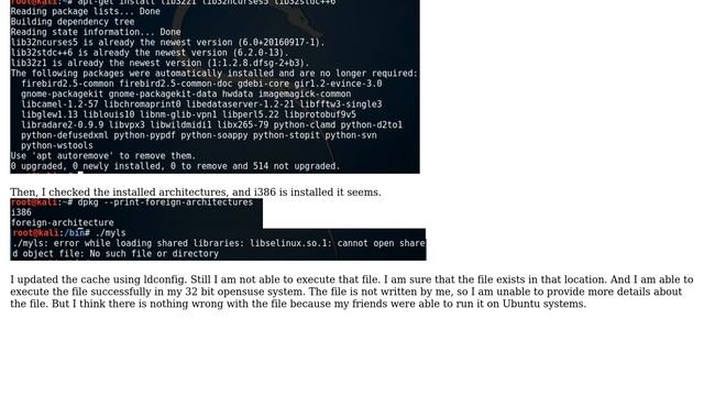 How to execute 32 bit programs in Kali Linux 2.7 (64 bit)? смотреть онлайн