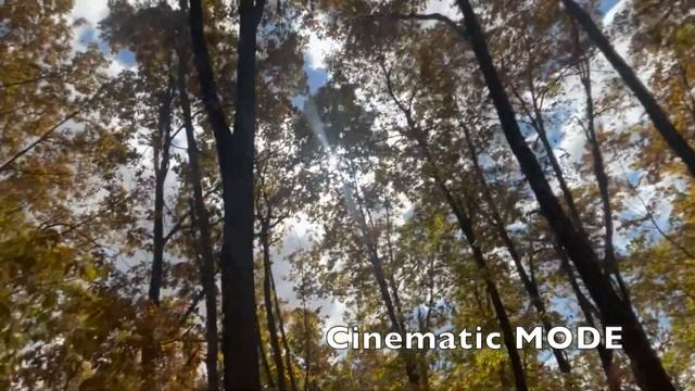 4K VIDEO vs CINEMATIC MODE iPhone 14 PRO MAX - CALMING AUTUMN FOREST WALK - RELAXATION MUSIC смотреть онлайн