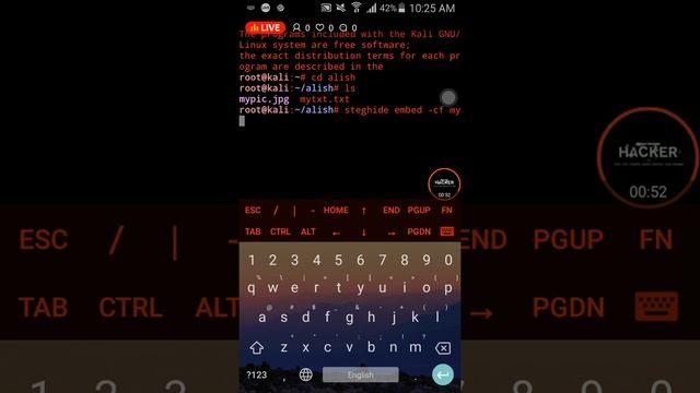 Steganography | How to hide your message in an image смотреть онлайн
